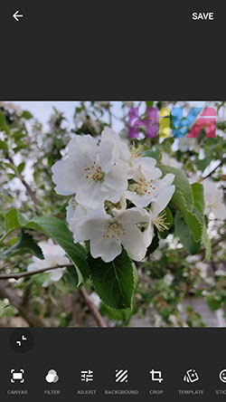 قابلیت های اینشات